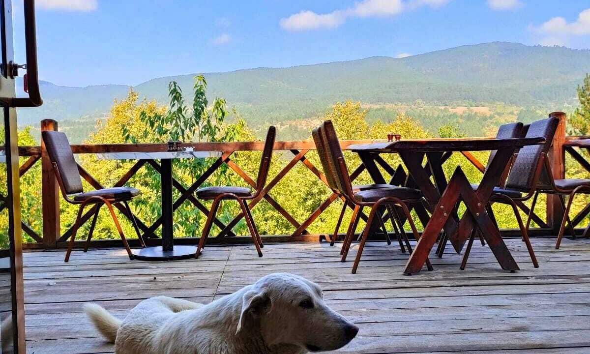 Photo of Patio Balcony in Mengen