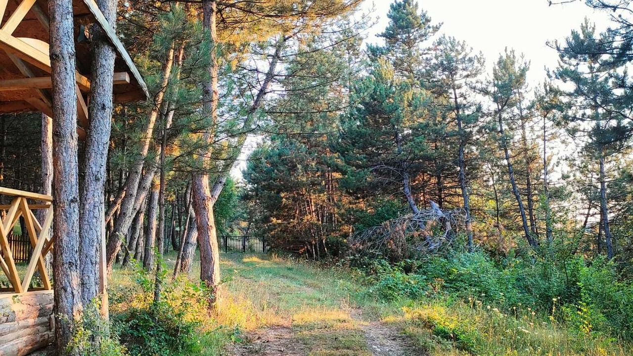 Photo of Outdoor in Mengen