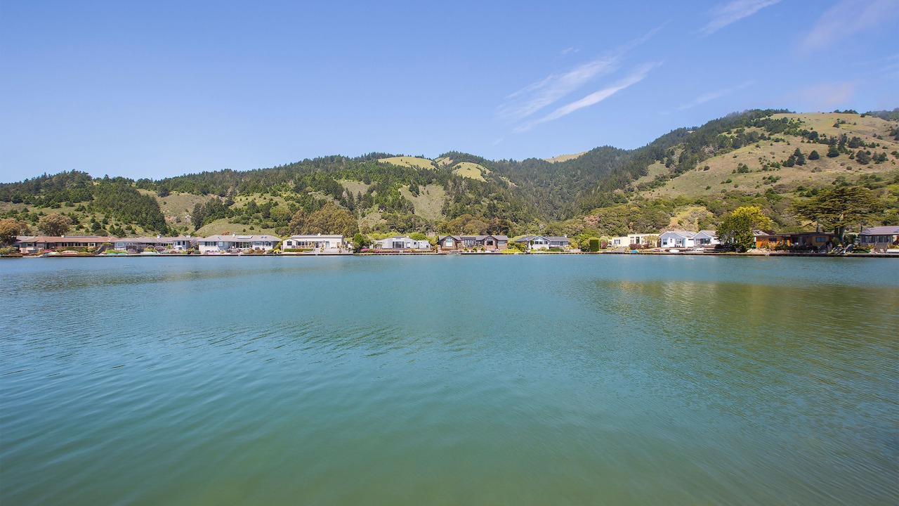 Photo of Others in Stinson Beach