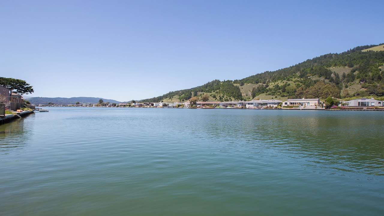 Photo of Others in Stinson Beach