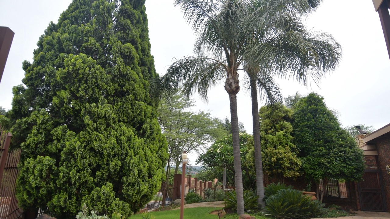 Photo of Outdoor in Waterkloof Glen