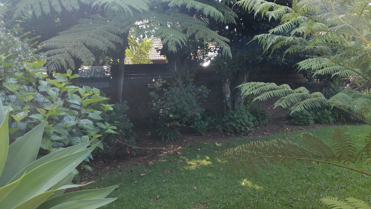 Photo of Outdoor in Graskop