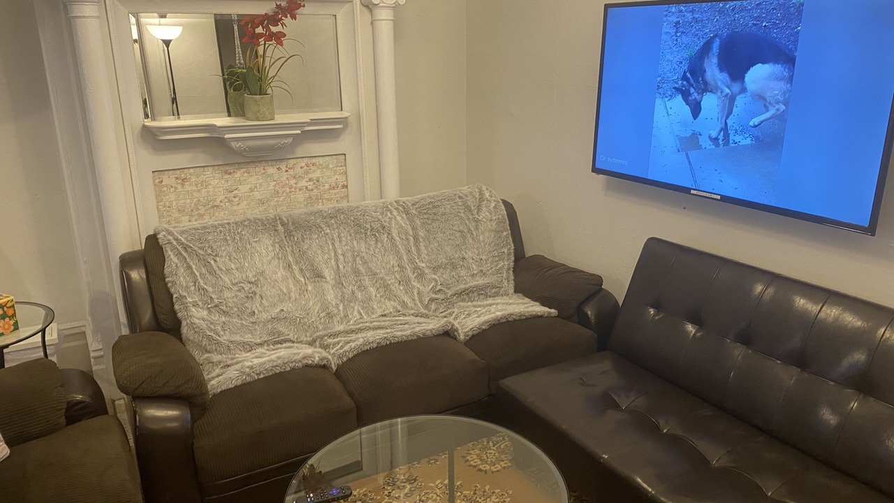 Photo of Livingroom in Haight-Ashbury