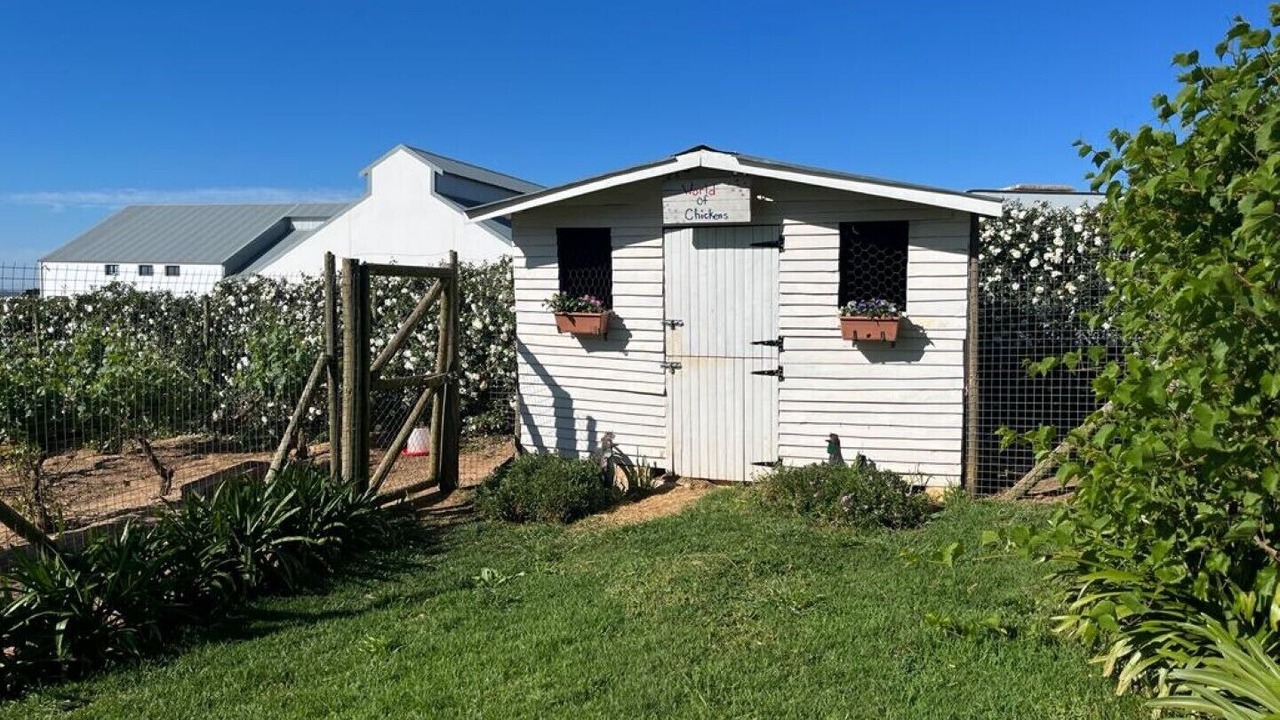 Photo of Outdoor in Stellenbosch