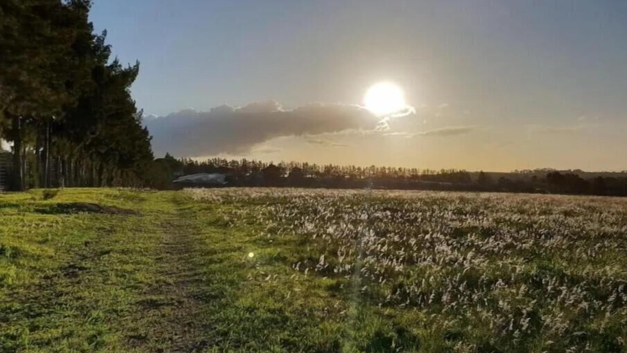 Photo of Outdoor in Klapmuts
