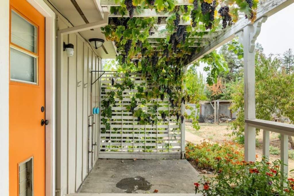 Photo of Outdoor in Geyserville