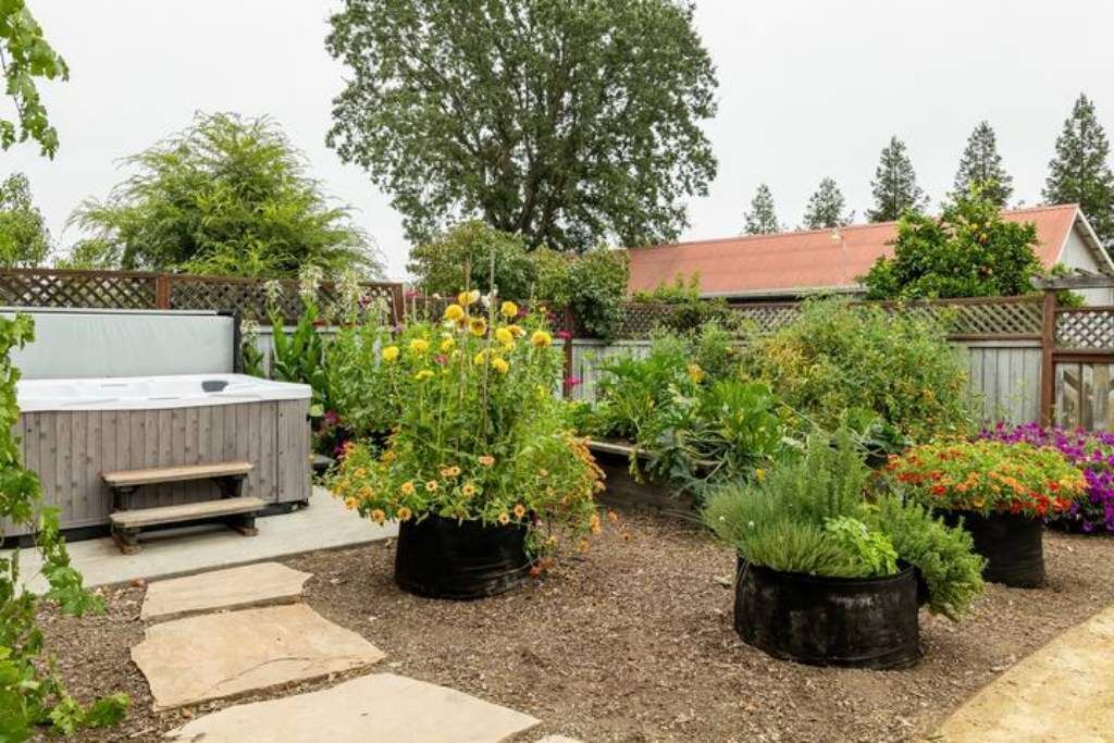 Photo of Outdoor in Geyserville