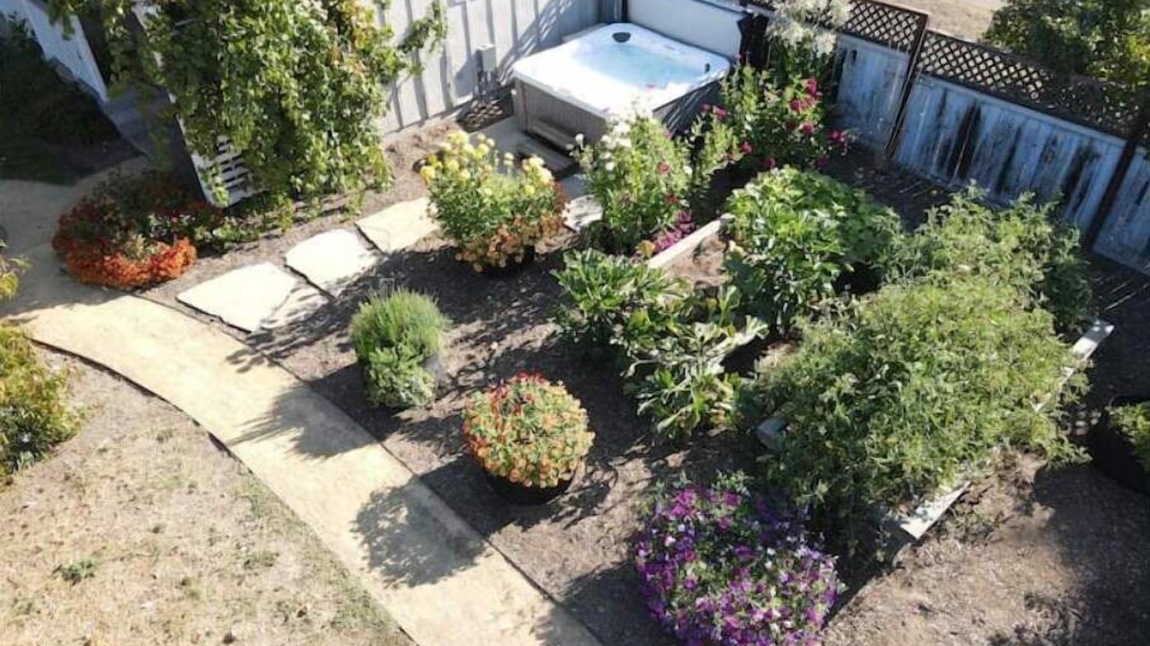Photo of Outdoor in Geyserville