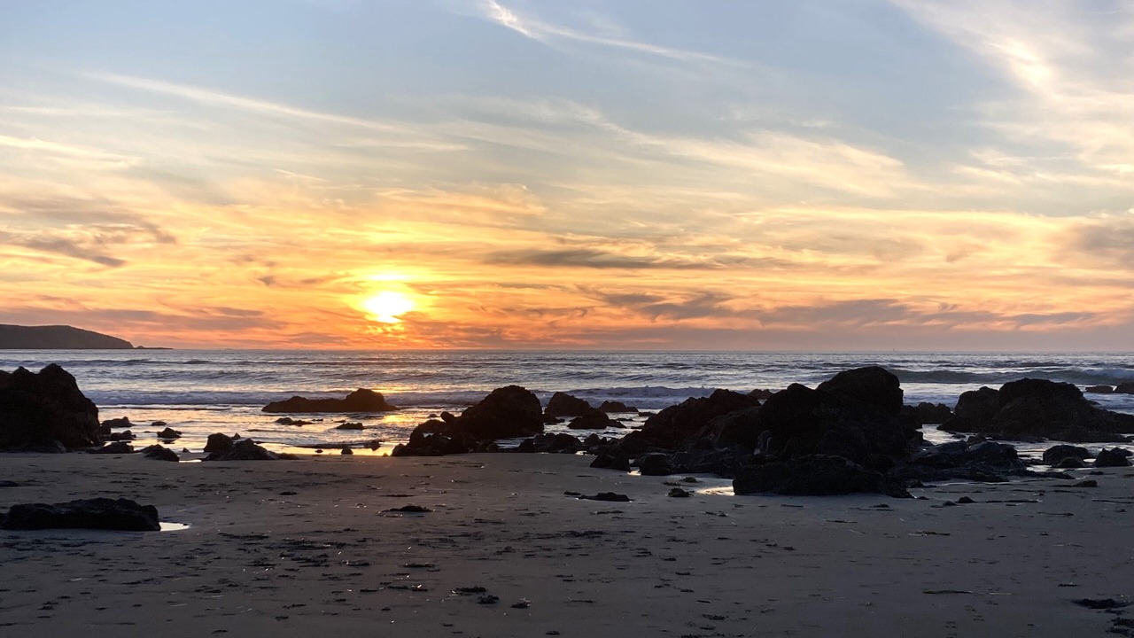 Photo of Others in Dillon Beach