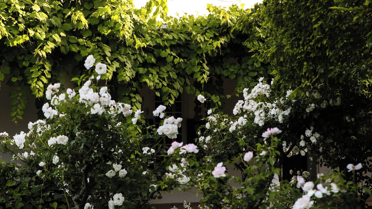 Photo of Outdoor in Raithby