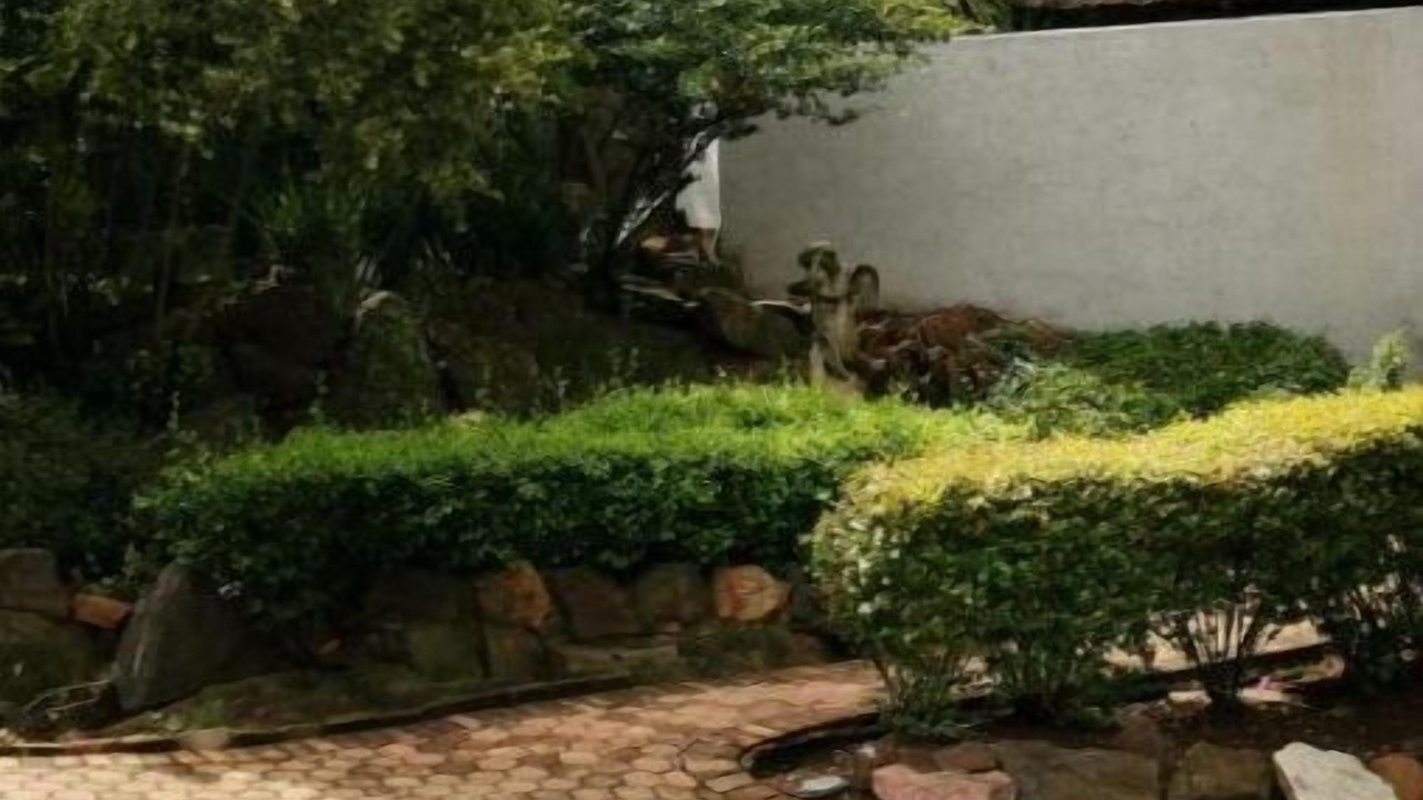 Photo of Outdoor in Greater Johannesburg Metropolitan Area