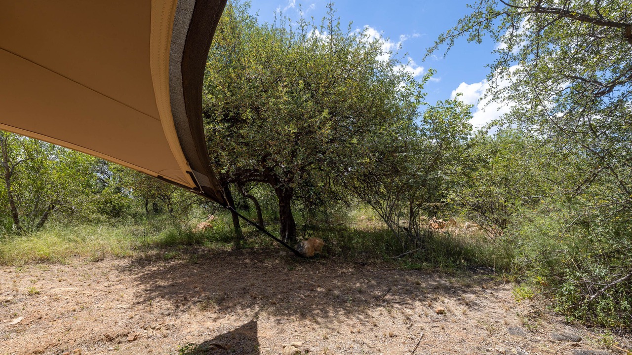 Photo of Outdoor in Hoedspruit