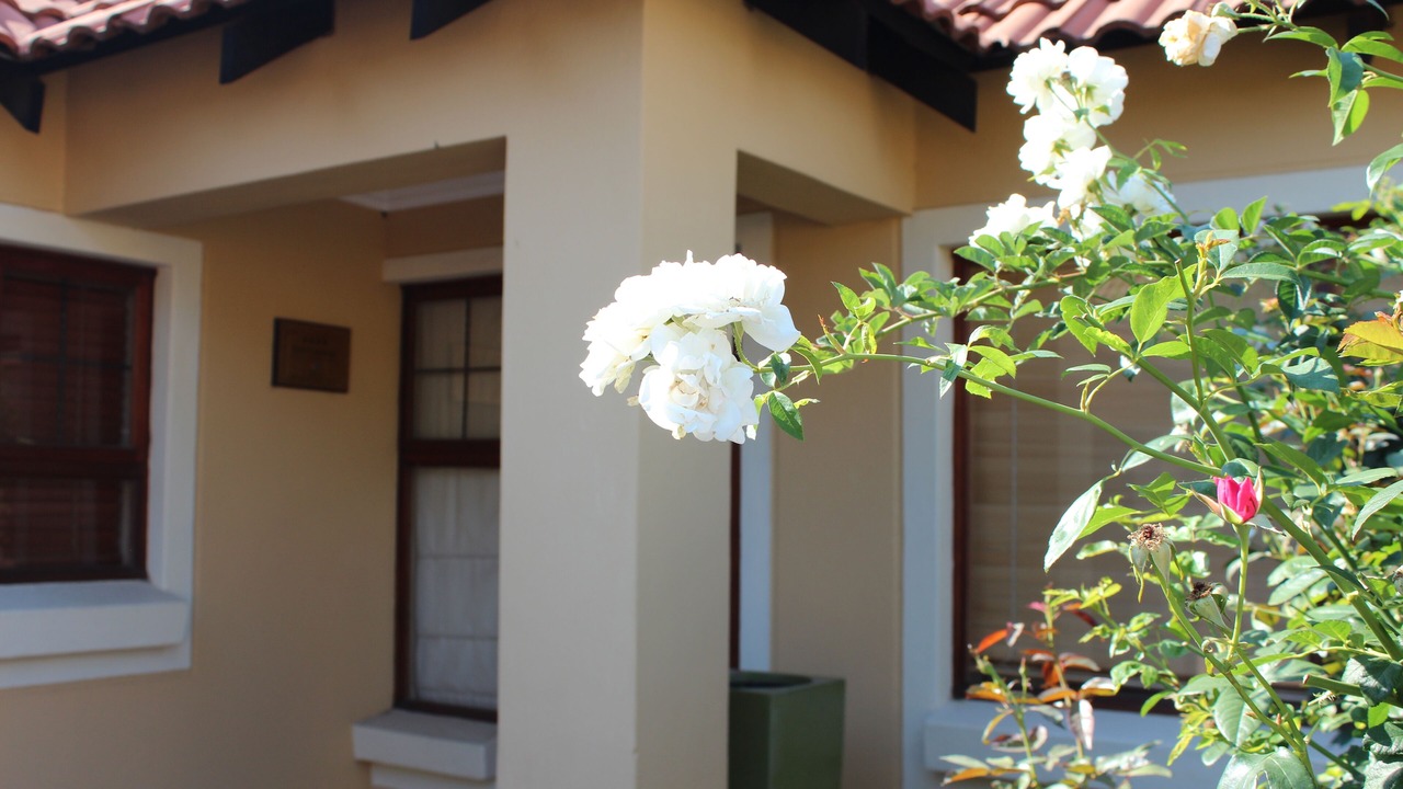 Photo of Outdoor in Greater Johannesburg Metropolitan Area