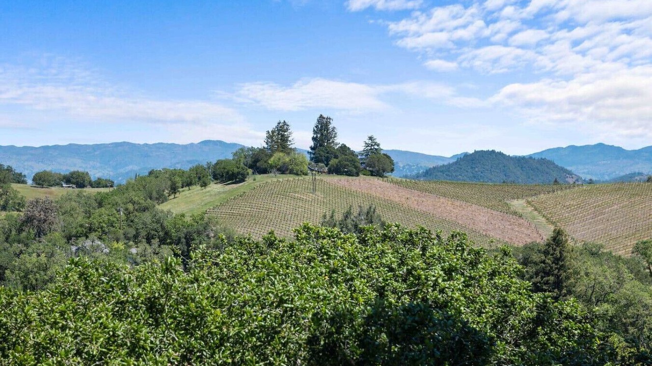 Photo of Others in Healdsburg