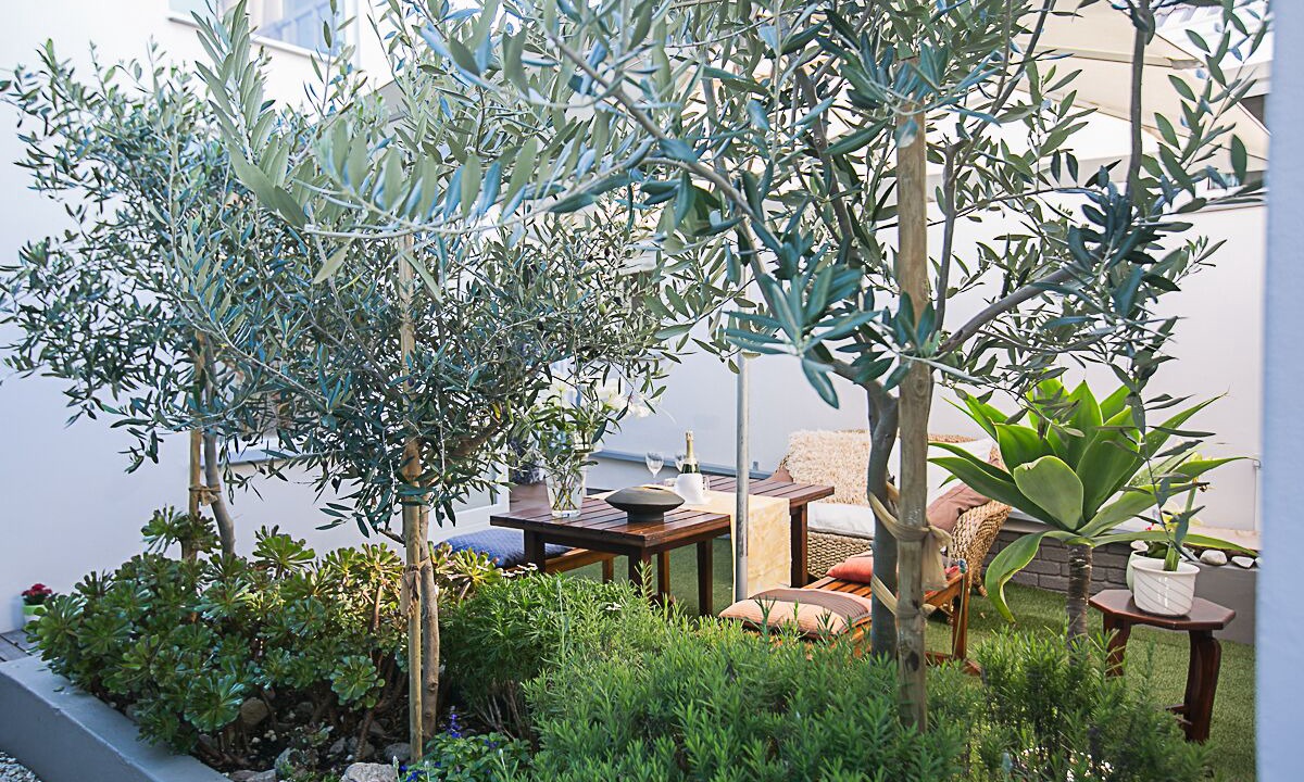 Photo of Outdoor in Hermanus