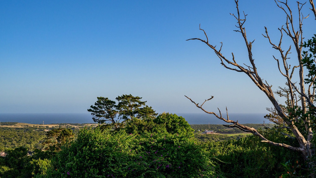 Photo of Outdoor in Port Elizabeth