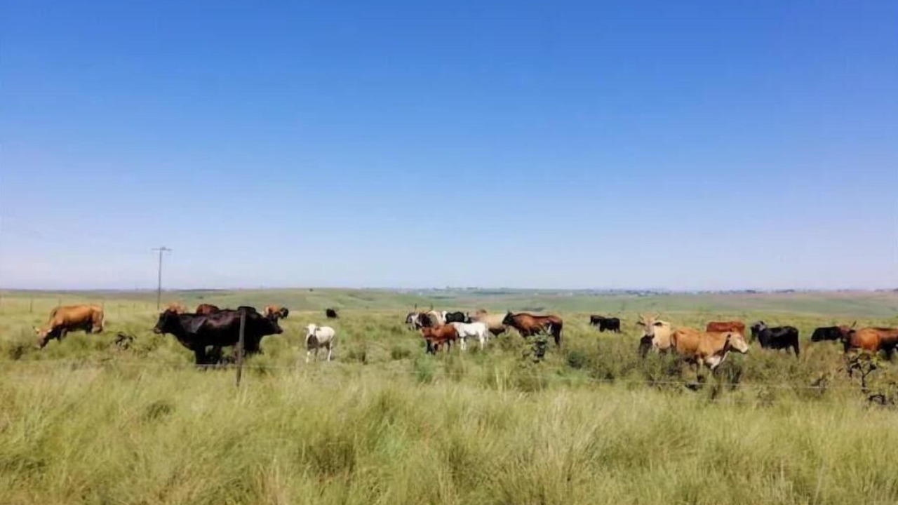 Photo of Others in Lusikisiki