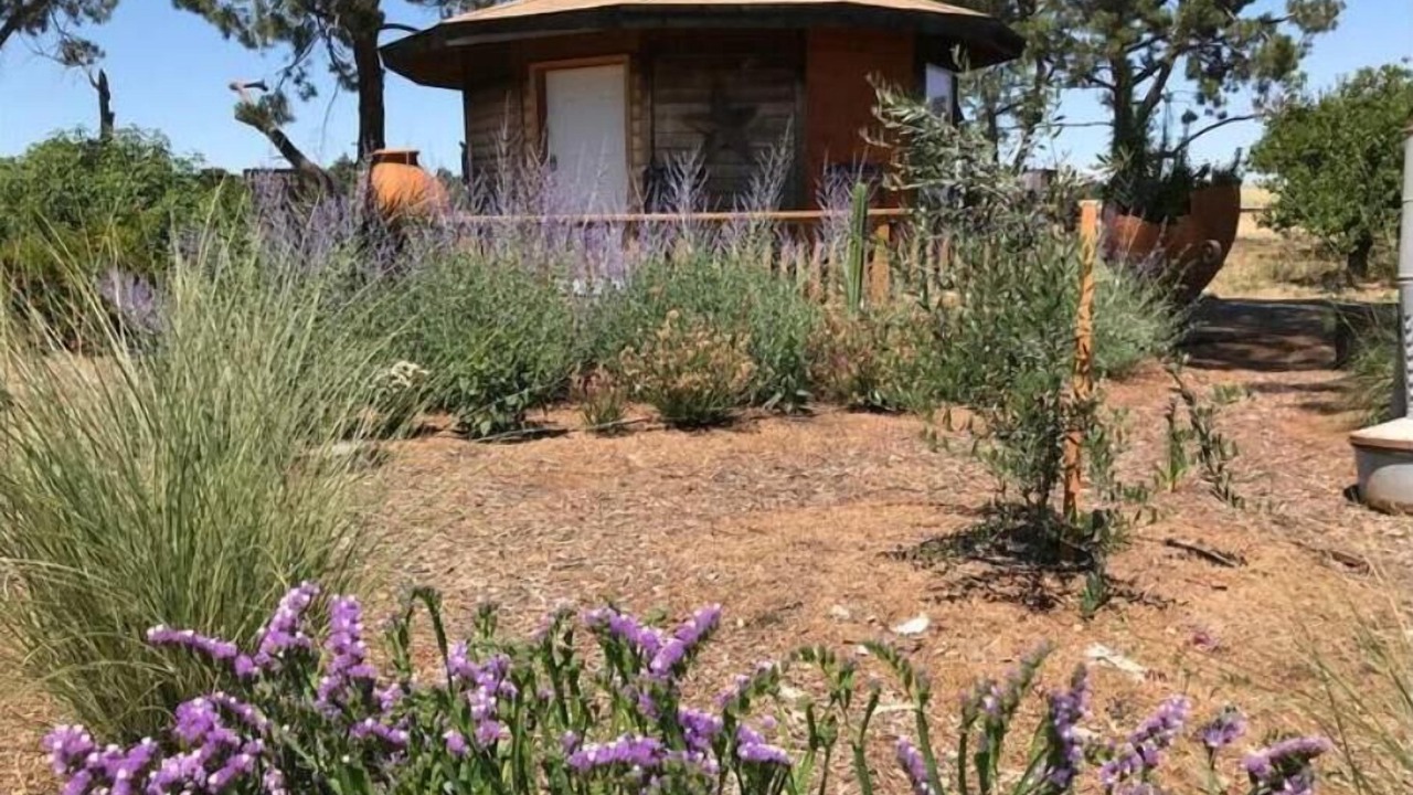 Photo of Outdoor in Davis