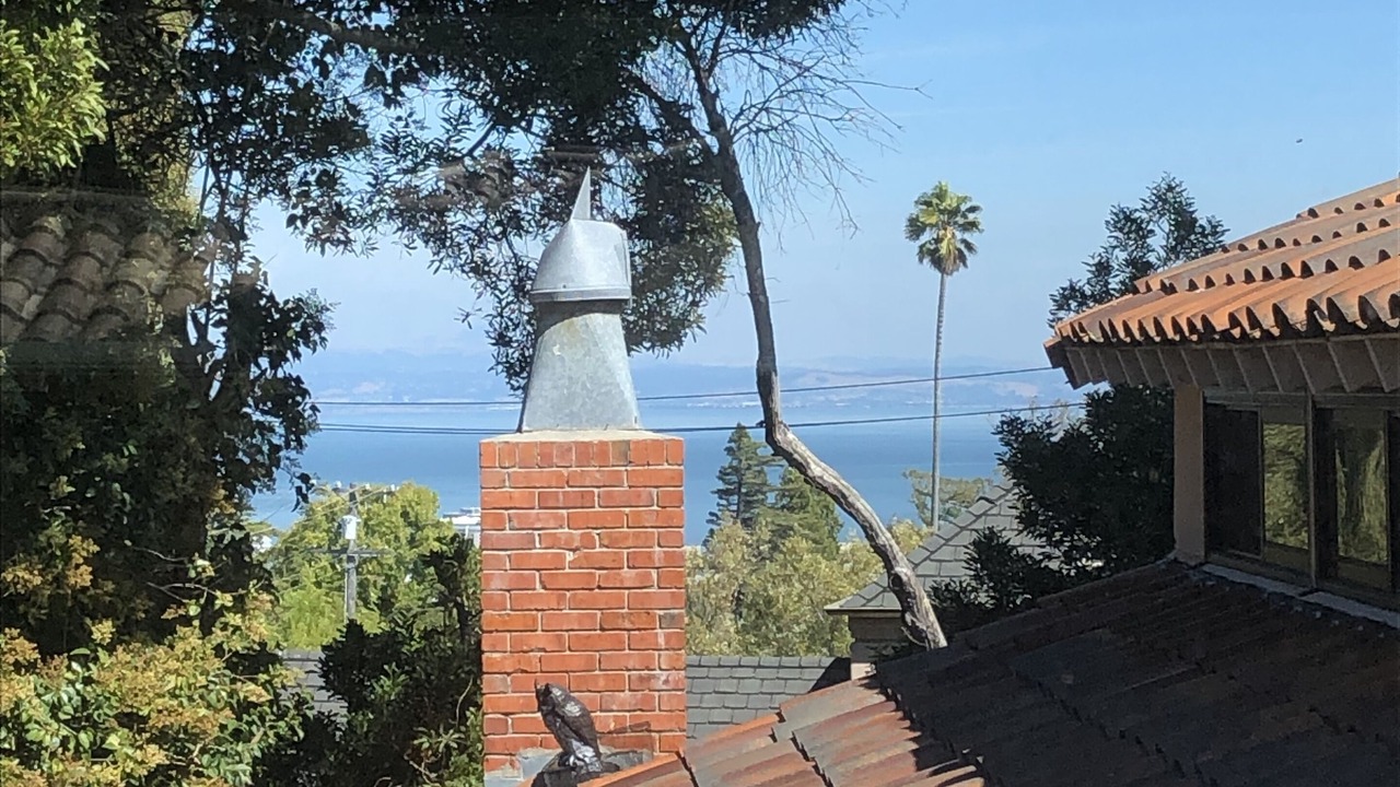 Photo of Others in Burlingame Hills