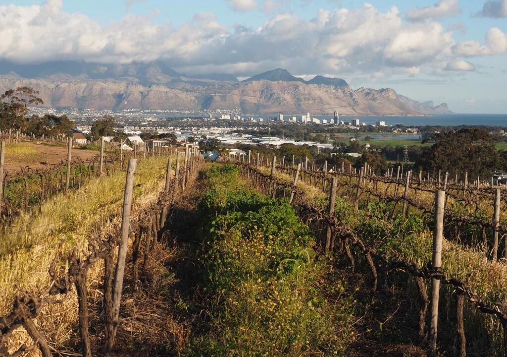 Photo of Outdoor in Somerset West