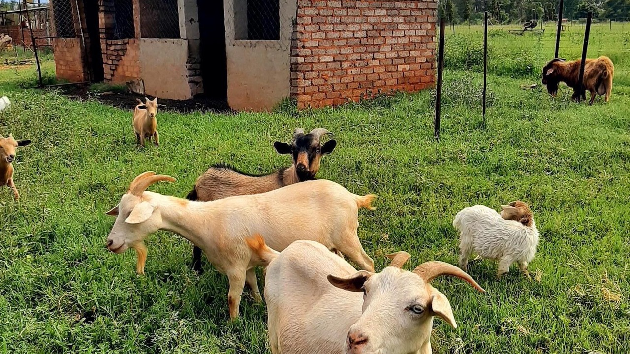 Photo of Outdoor in Hartbeesfontein