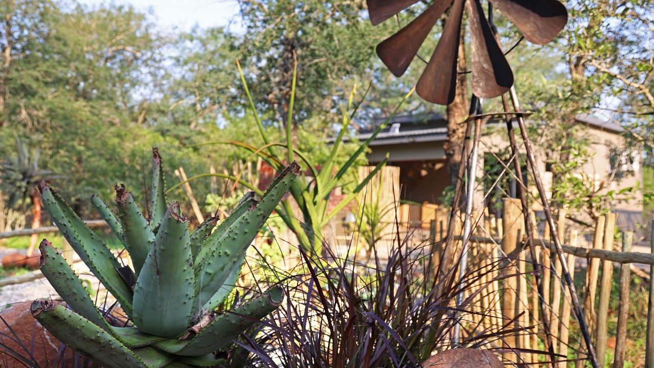 Photo of Outdoor in Marloth Park