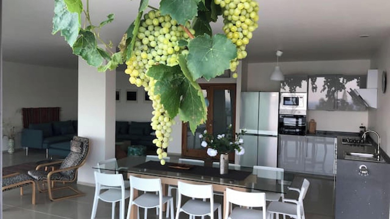Photo of Livingroom in Mesudiye