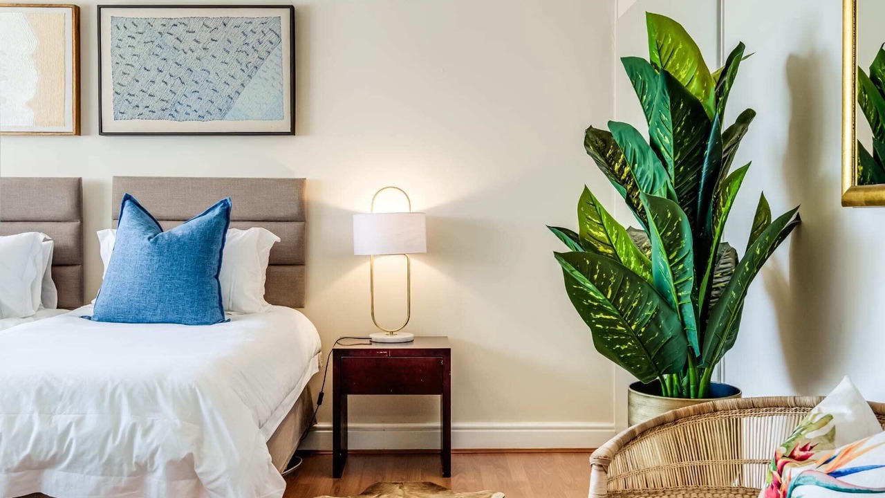 Photo of Bedroom in Mouille Point