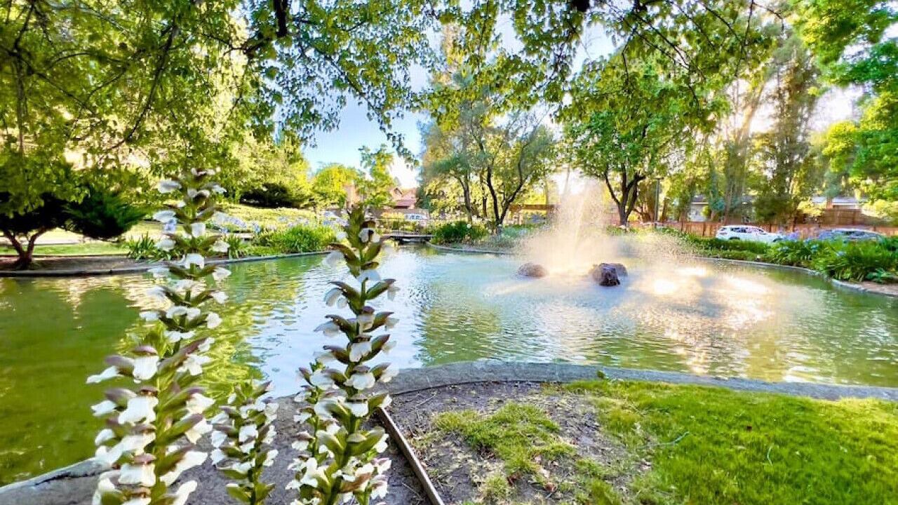 Photo of Outdoor in Walnut Creek