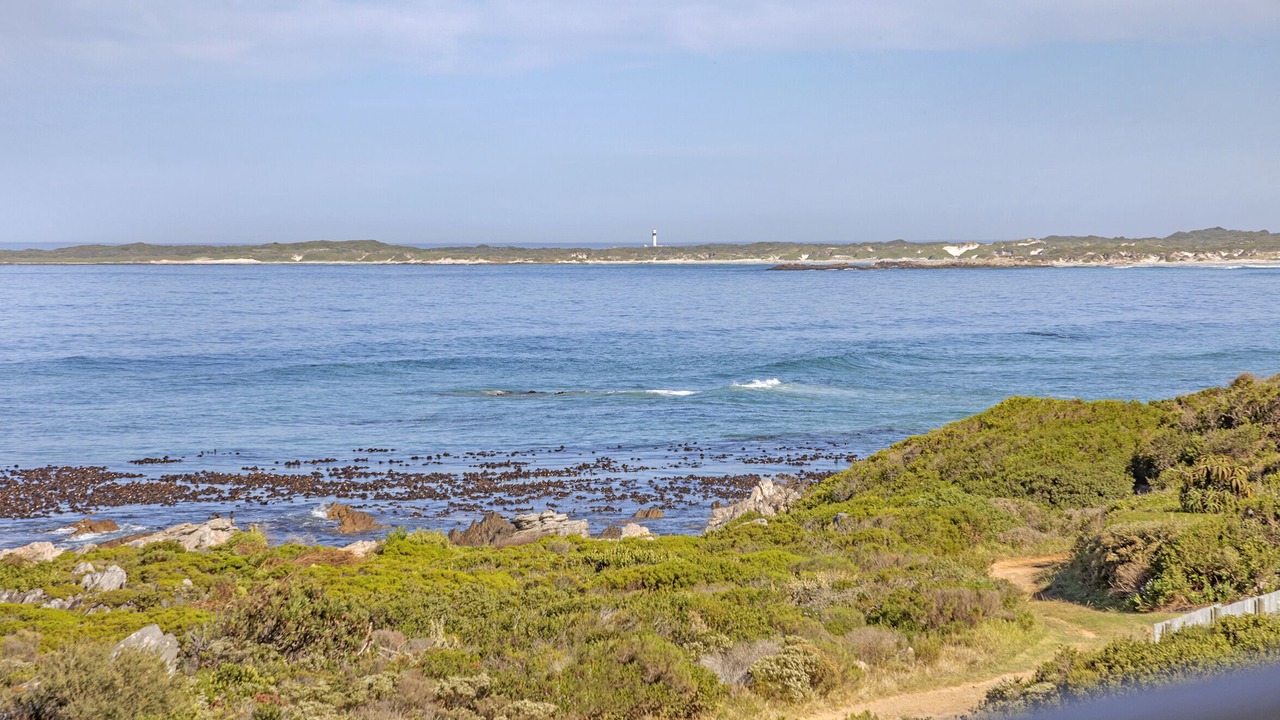 Photo of Others in Betty's Bay