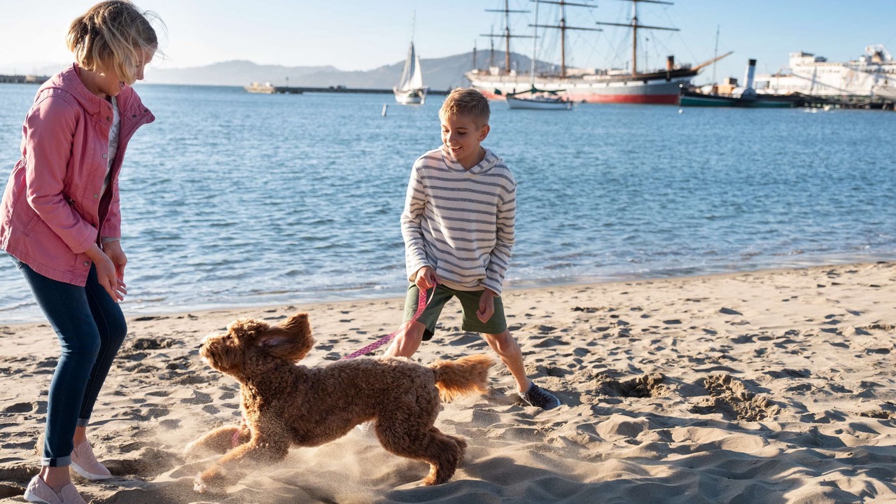 Photo of Others in Fisherman's Wharf