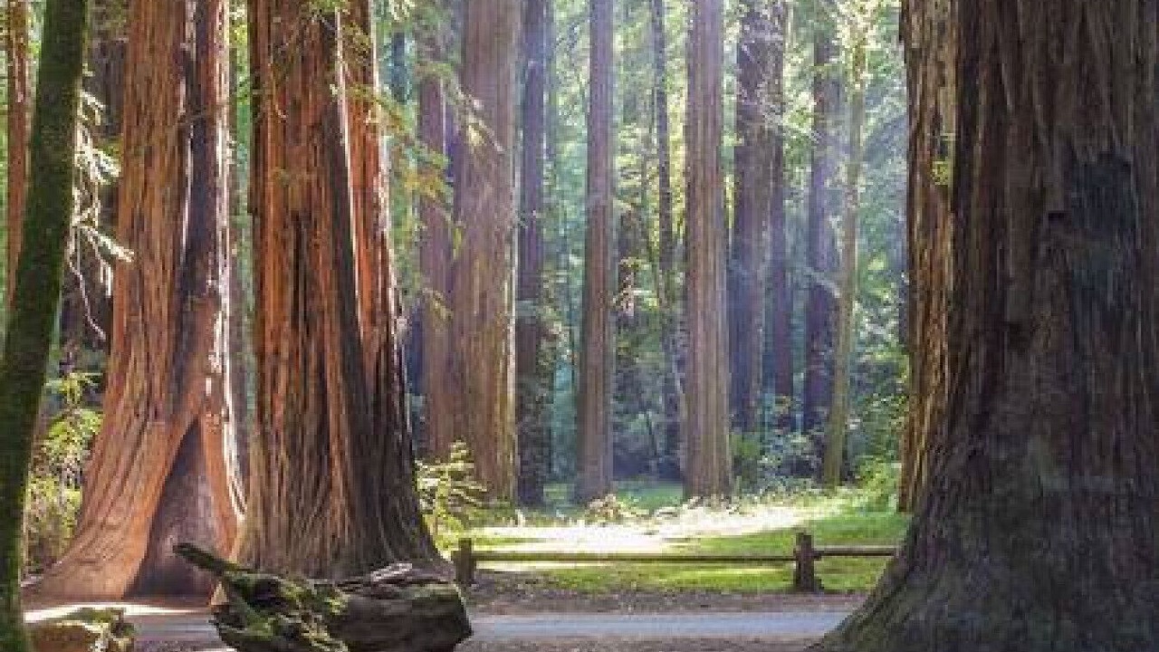 Photo of Others in Santa Rosa