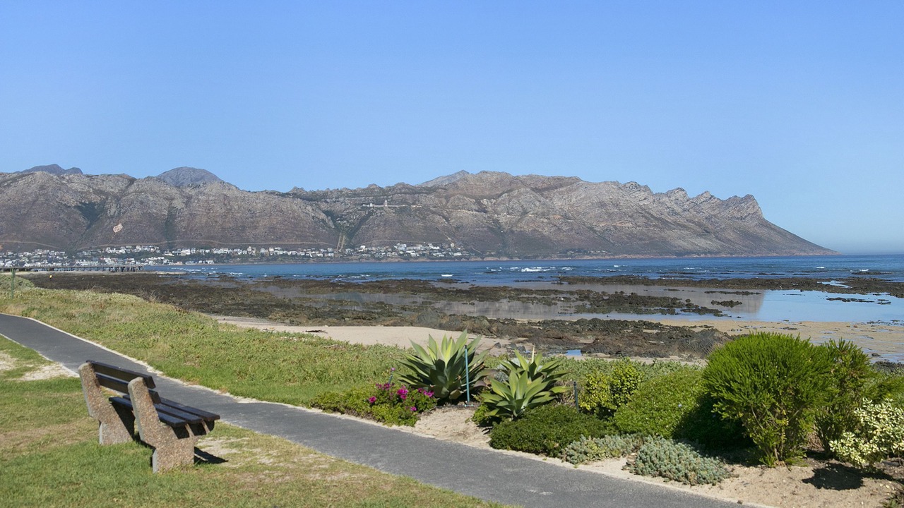 Photo of Others in Strand