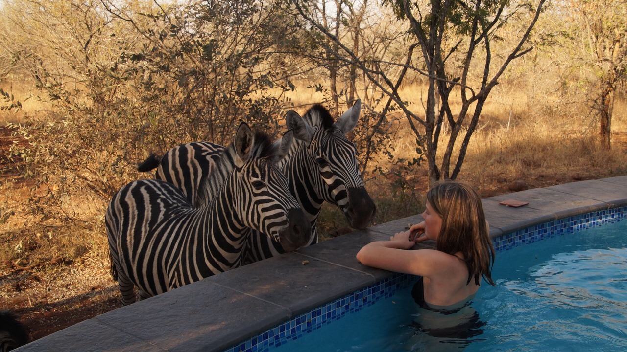 Photo of Outdoor in Marloth Park