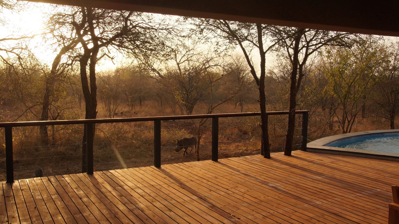 Photo of Patio Balcony in Marloth Park