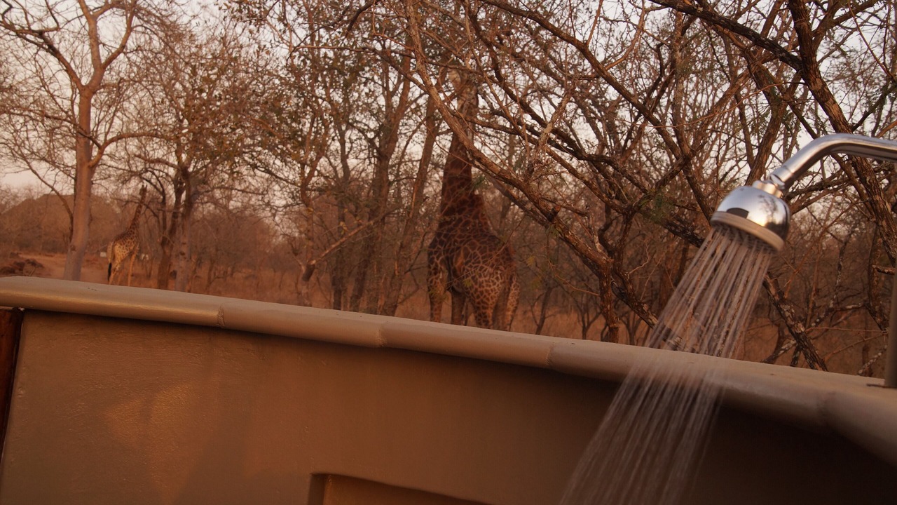 Photo of Outdoor in Marloth Park