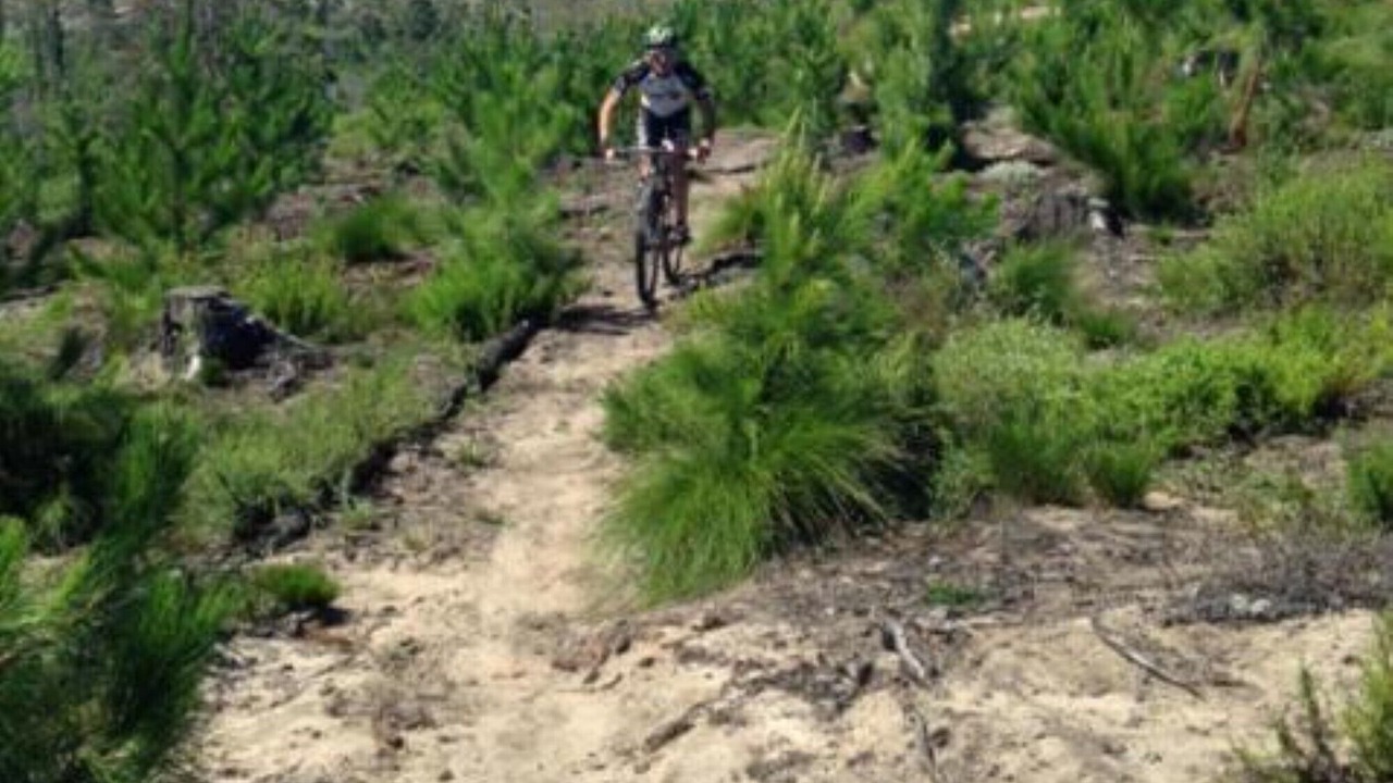 Photo of Outdoor in Knysna