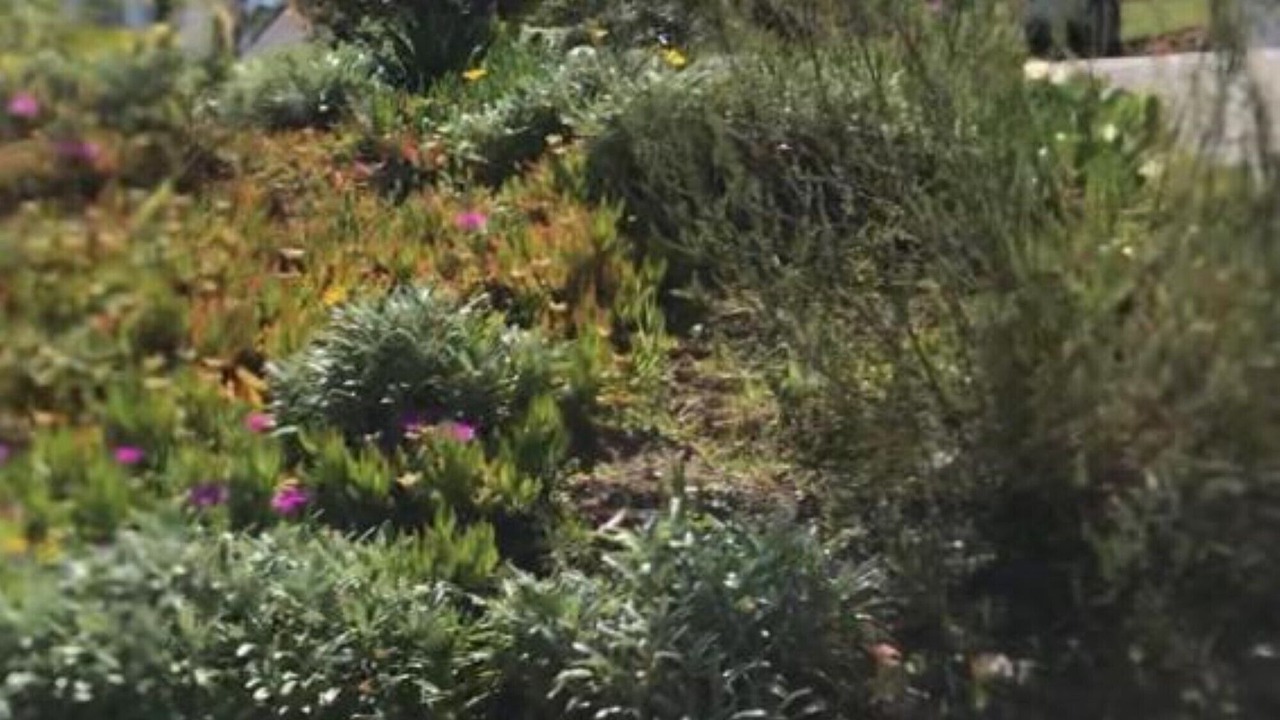 Photo of Outdoor in Knysna