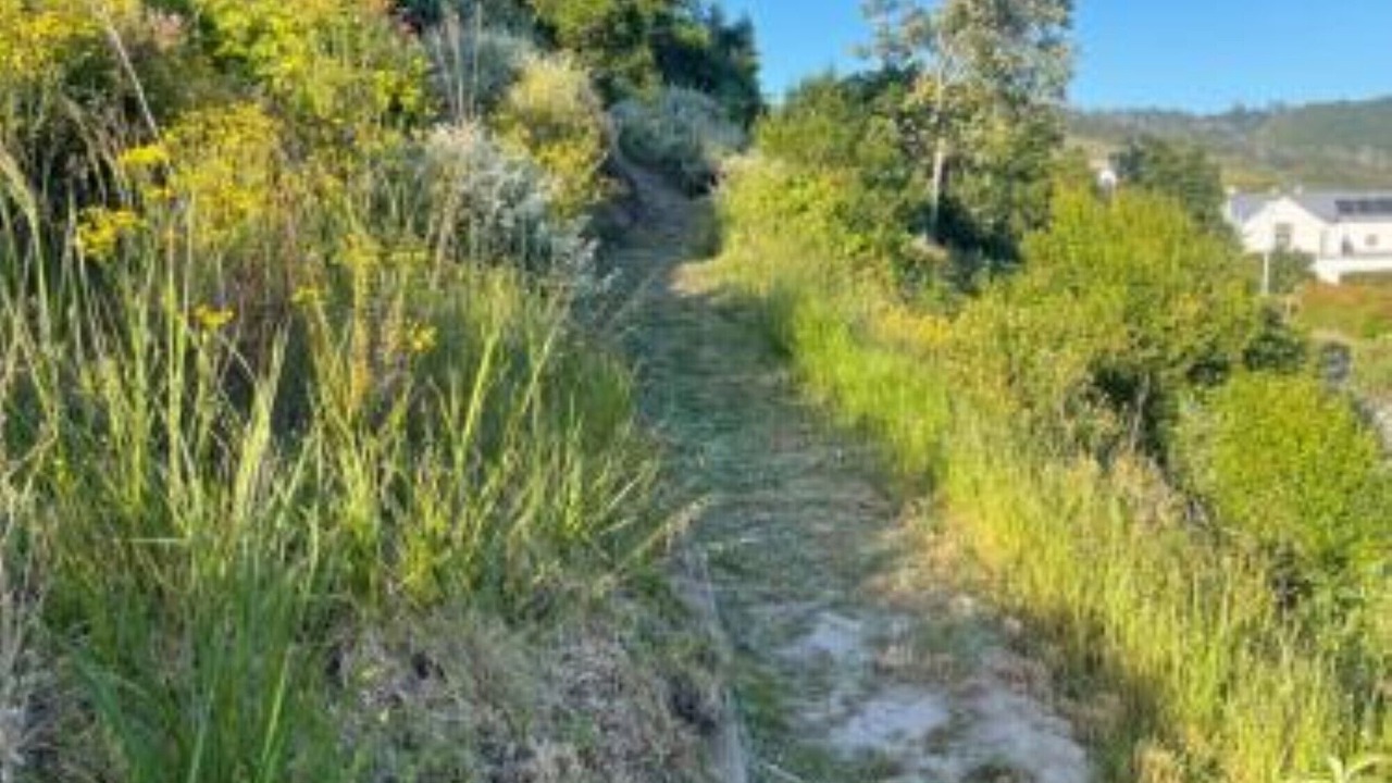 Photo of Others in Knysna