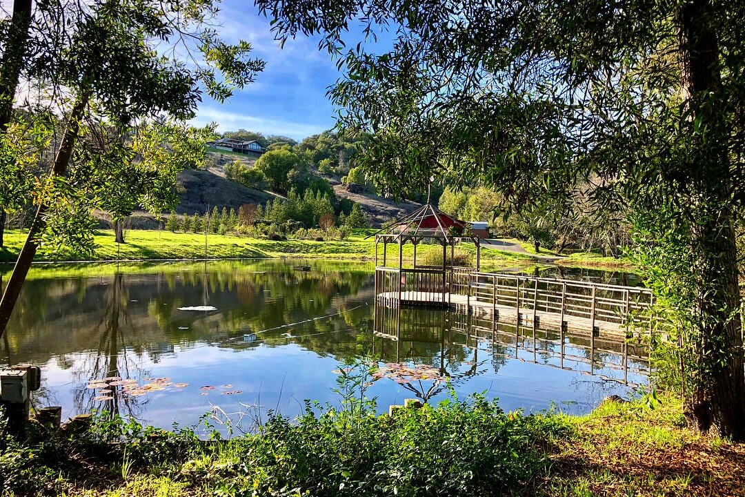 Photo of Outdoor in Windsor
