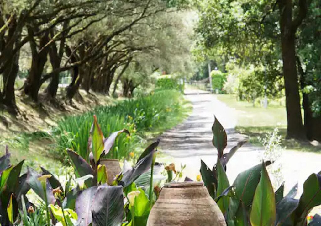 Photo of Outdoor in Windsor