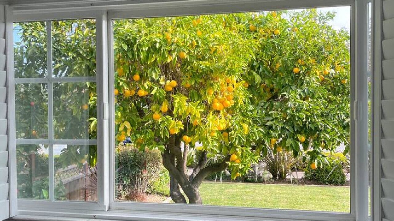 Photo of Others in Willow Glen South - Lincoln Glen
