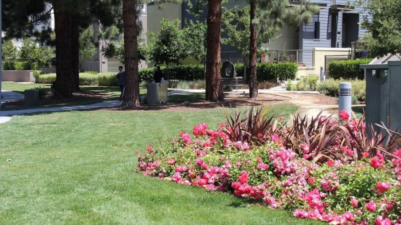 Photo of Outdoor in Palo Alto