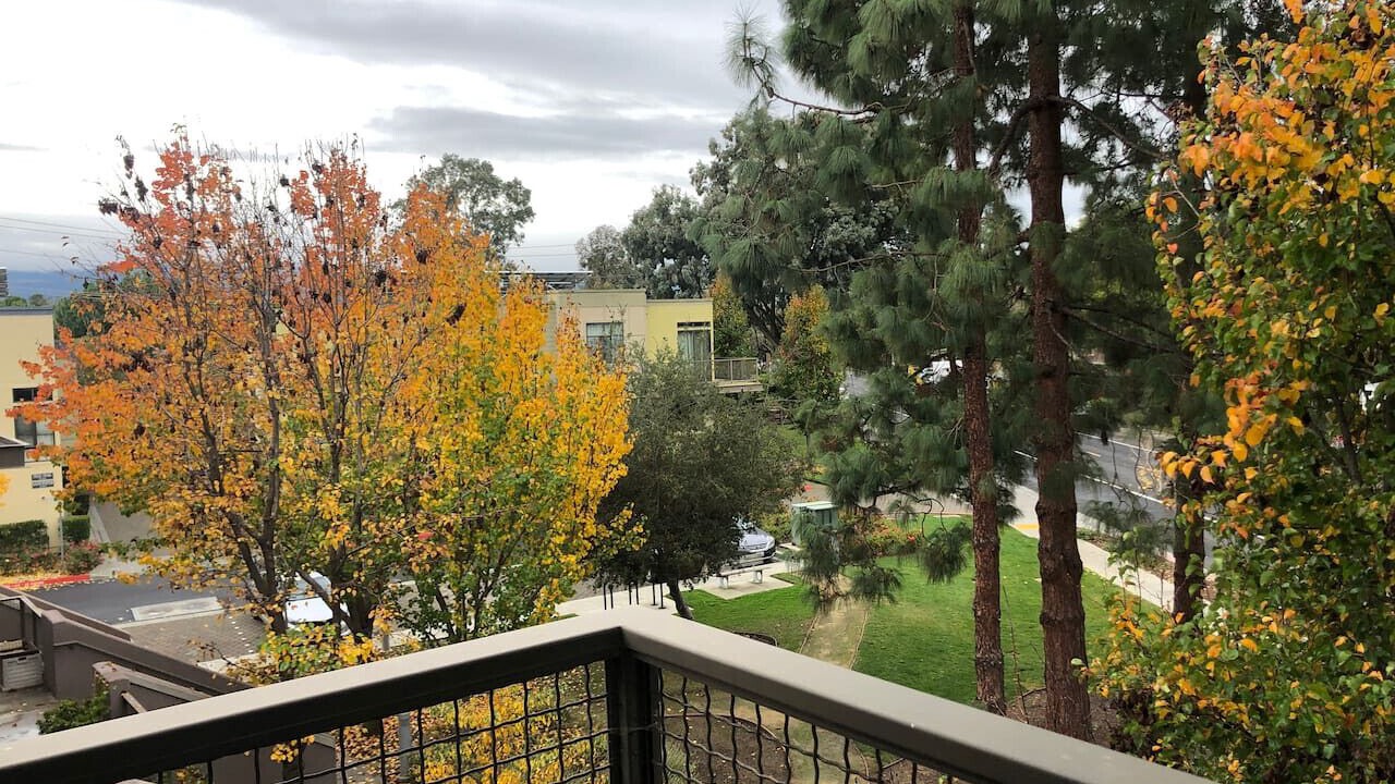 Photo of Outdoor in Palo Alto