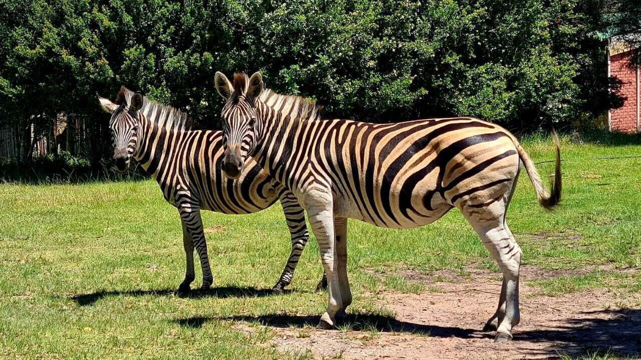Photo of Others in Port Elizabeth