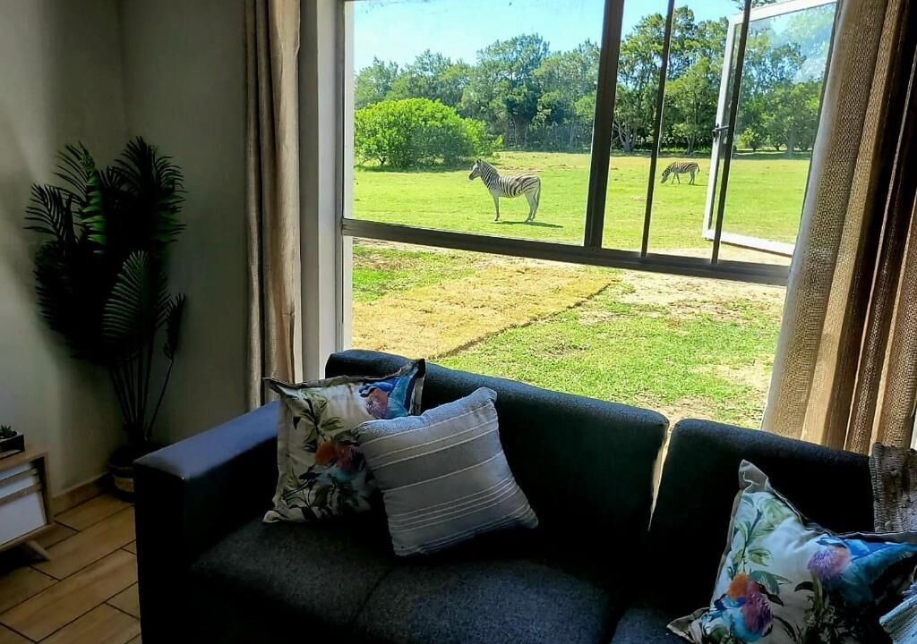 Photo of Livingroom in Port Elizabeth
