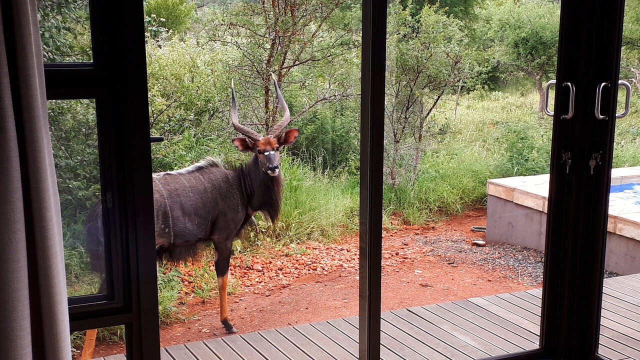 Photo of Others in Hoedspruit