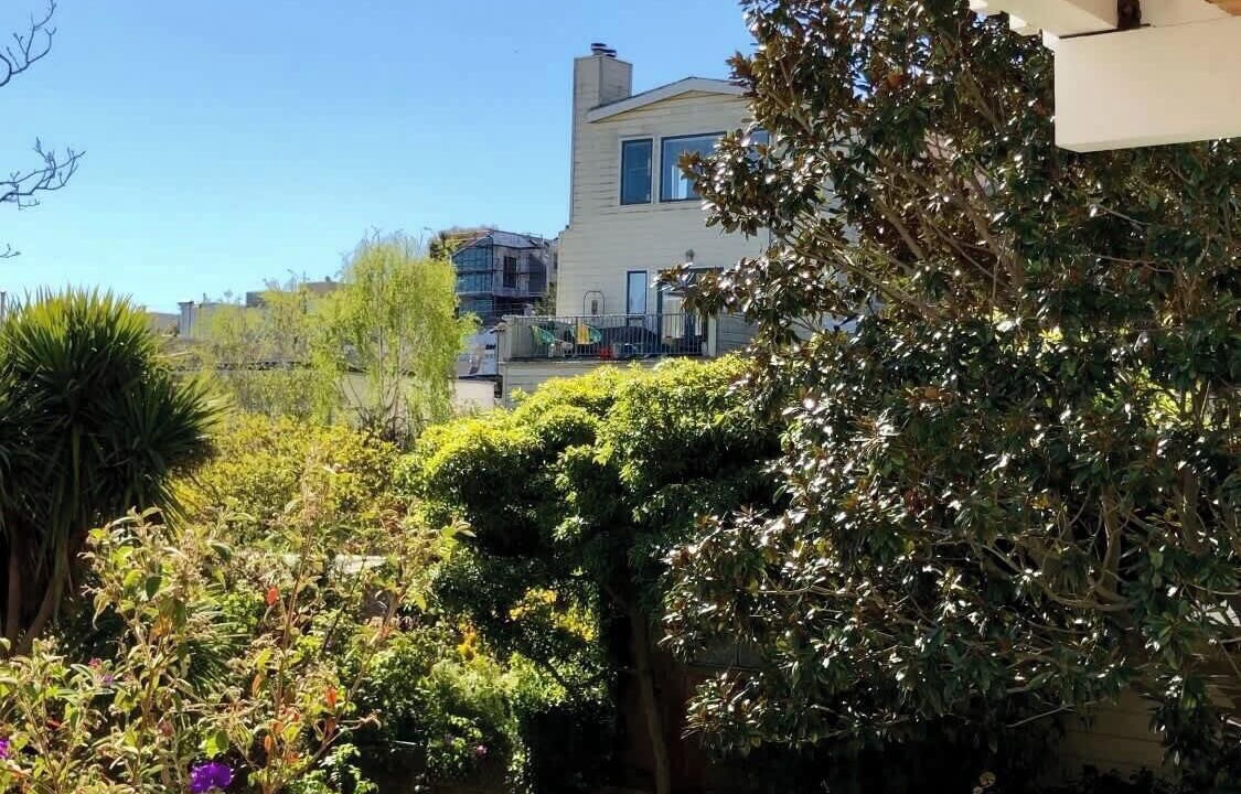 Photo of Outdoor in Eureka Valley