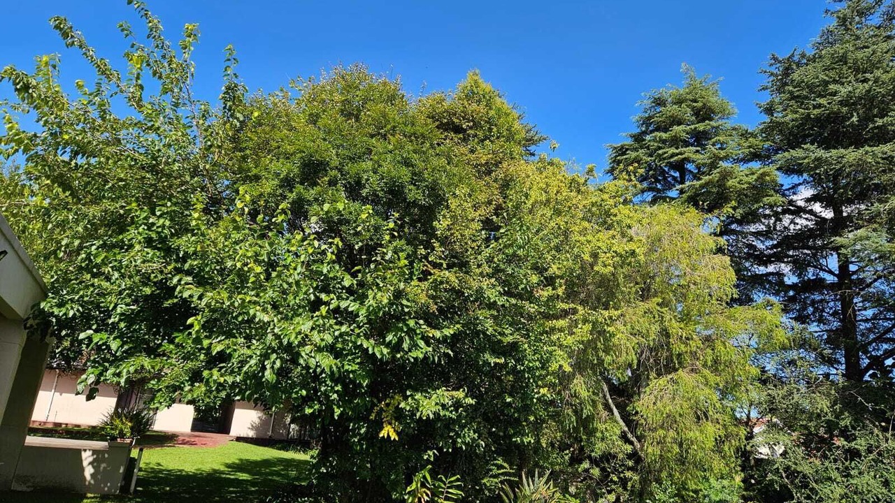 Photo of Outdoor in Greater Johannesburg Metropolitan Area
