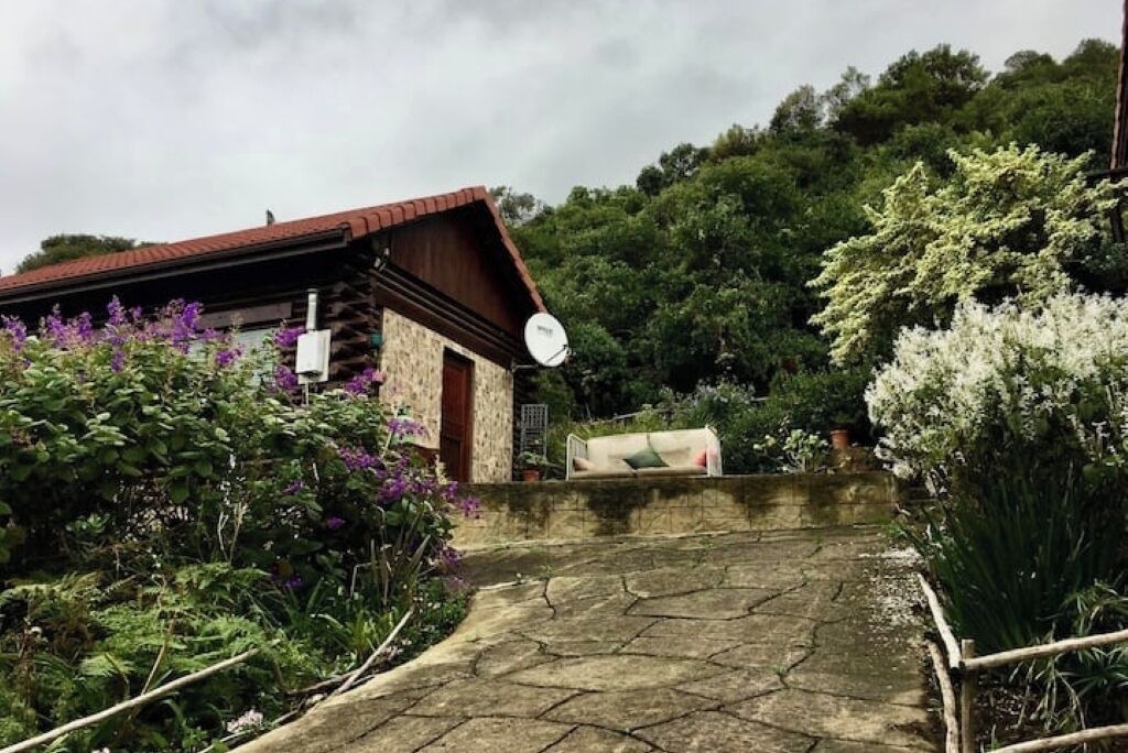 Photo of Outdoor in Glentana